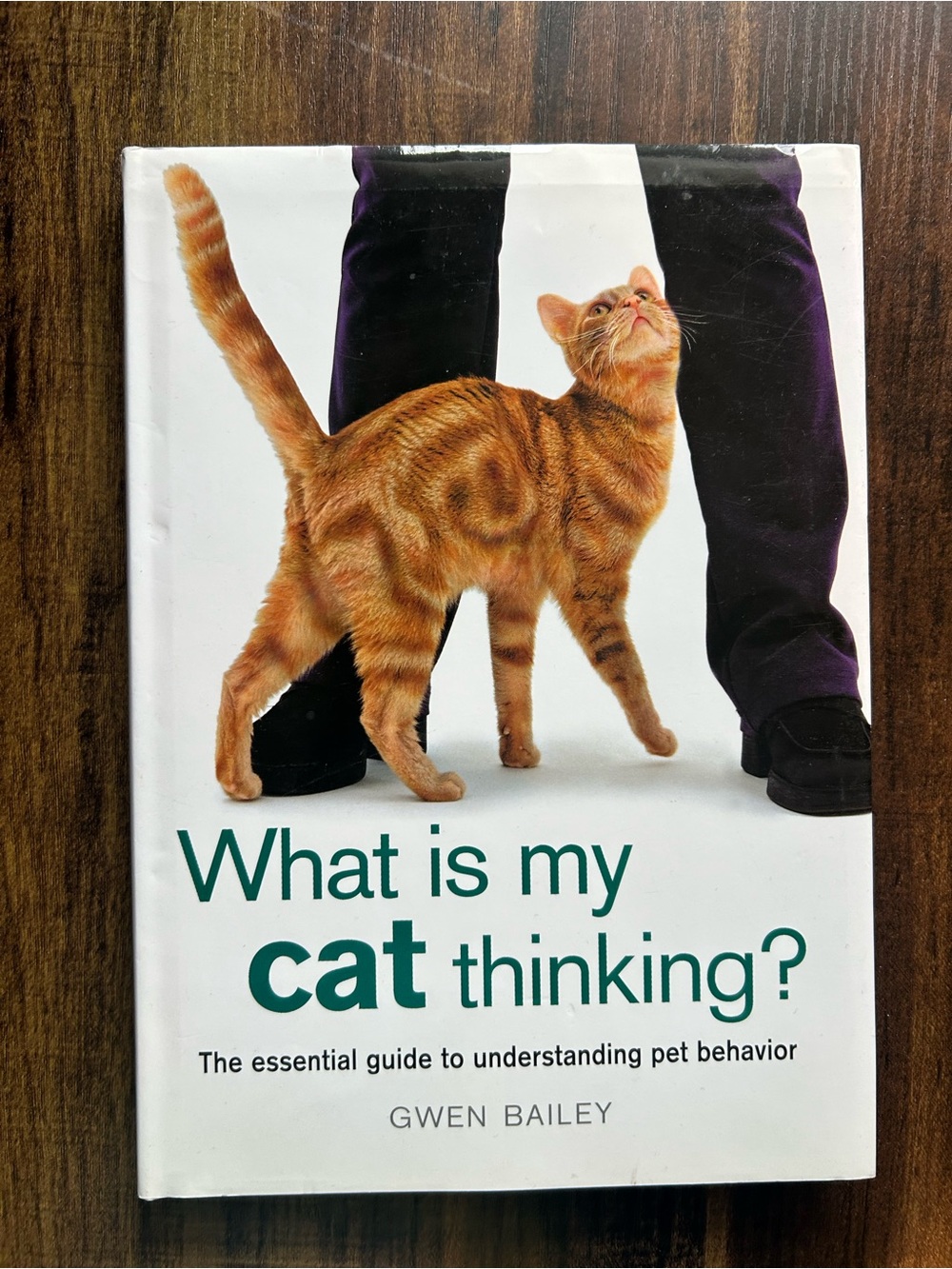 What Is My Cat Thinking? - Orange Cat Guide